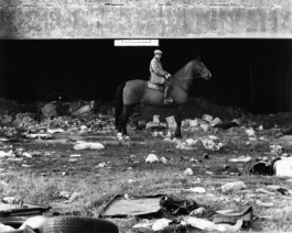 Massimo Costoli Photographer